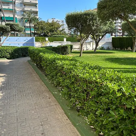 Sorolla Playa de Gandia